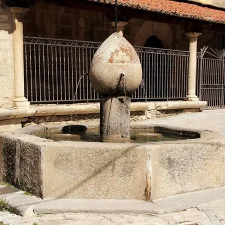 Polilla En La Sierra De Gredos * Bohoyo